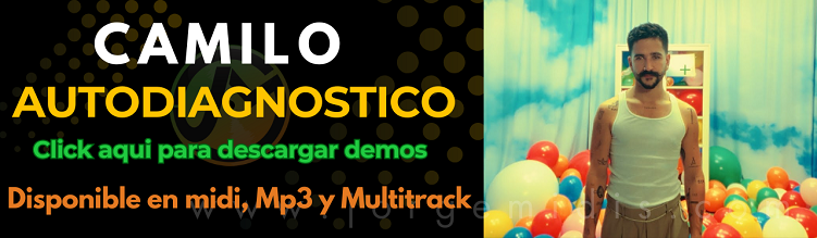 Camilo - Autodiagnostico