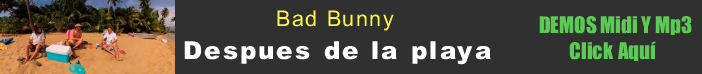 Bad Bunny Despues de la playa midi instrumental mp3 karaoke multitrack