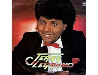 Jerry Legrand - Todo me gusta de ti
